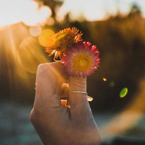 emily-goodhart-7Xt5ekEmZwI-unsplash